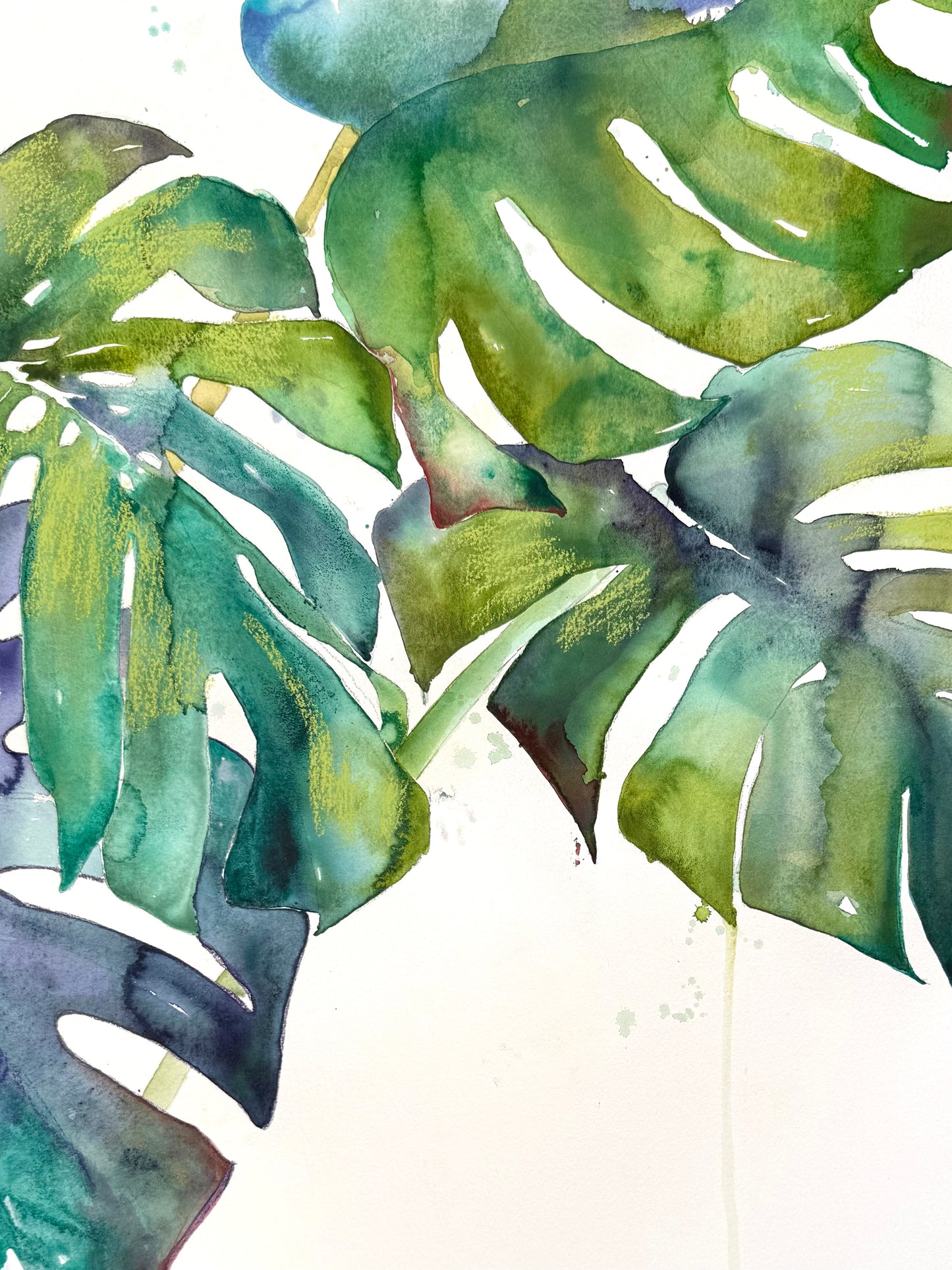 VERDANT DREAMSCAPE - MONSTERA STUDY | LARGE FORMAT WATERCOLOR