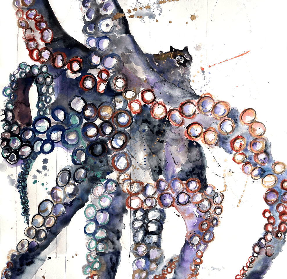 TIDAL INTELLIGENCE | OCTOPUS STUDY (LARGE FORMAT WATERCOLOR PAINTING)