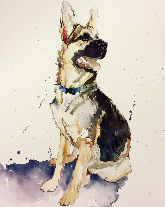 PET PORTRAIT || GERMAN SHEPARD [SOLD]