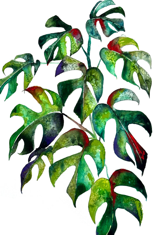 VERDANT CRUSH | MINI MONSTERA STUDY