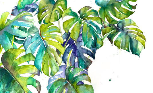 VERDANT DREAMSCAPE - MONSTERA STUDY | LARGE FORMAT WATERCOLOR